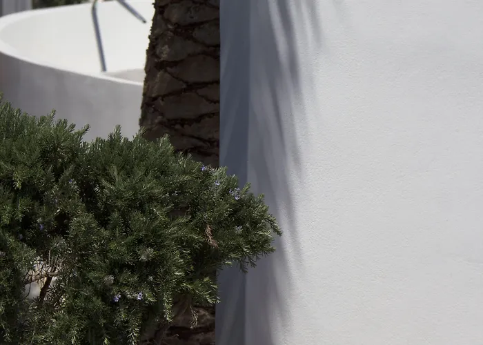 Byzantio Beach & Wellness