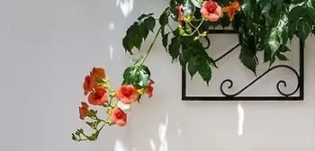 Byzantio & Wellness 4* Агиос-Состис